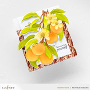 Altenew - Craft Your Life Project Kit: Tangerine Grove