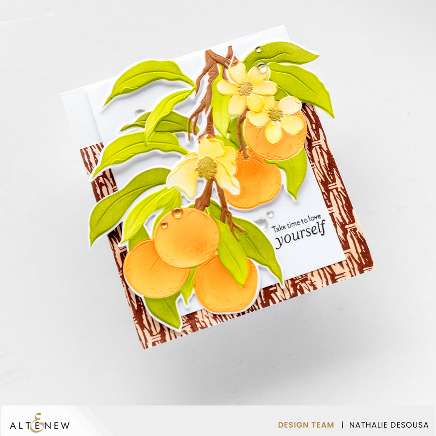 Altenew - Craft Your Life Project Kit: Tangerine Grove