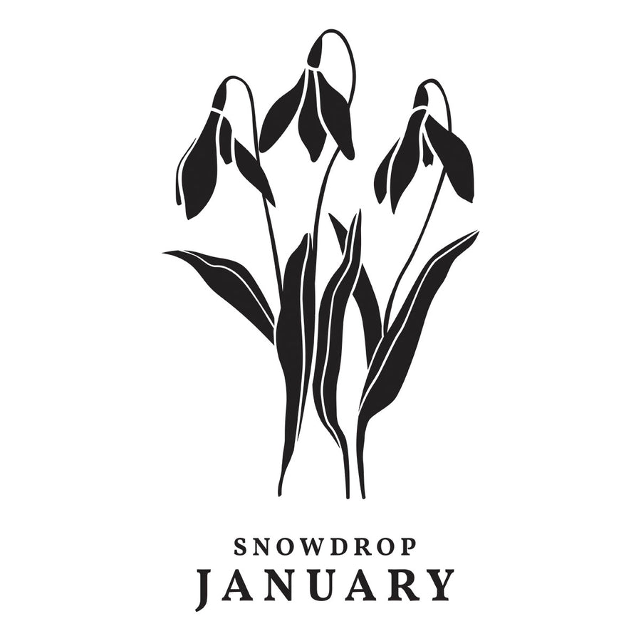 Spellbinders - January Snowdrop Press Plates from the Florals Through the Year Collection