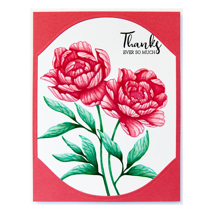 Spellbinders - Peony Perfection Registration Press Plates from the Cheers to You Collection