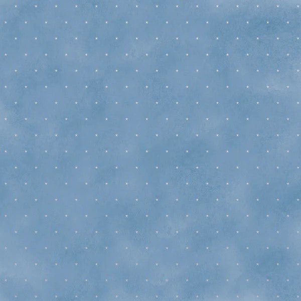 Kaisercraft - Whimsy Wishes 12" x 12" Scrapbook Paper - Cold Outside