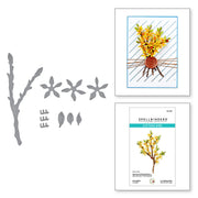 Spellbinders - Forsythia Etched Dies from the Nature's Botanical Garden Collection by Susan Tierney-Cockburn