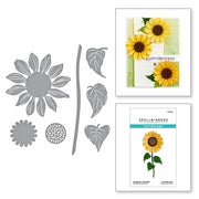 Spellbinders - Sunflower Serenade Etched Dies from the Serenade of Autumn Collection