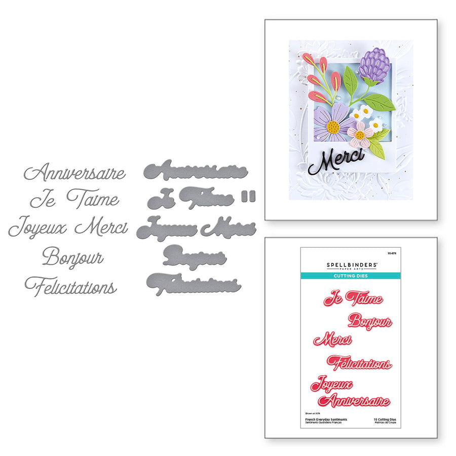 Spellbinders - French Everyday Sentiments Etched Dies from the International Sentiments Collection