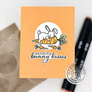 Hero Arts - Spring Bunny Bundle