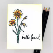 Hero Arts - Wild Flowers Bundle